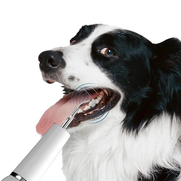 K15 Pet Dog Ultrasonic Dental Scaler Tartar Plaque Remover Electric Teeth Cleaning Device - Black