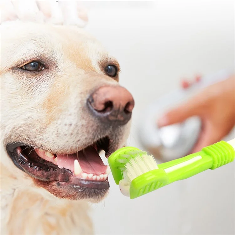 HISTOTREE Pet Cão Gato 3-Cabeça Escova de Dentes Plástico+Nylon Cuidados Orais Ferramenta de Limpeza dos Dentes (Sem BPA, Sem Certificação FDA) - Verde Oliva 