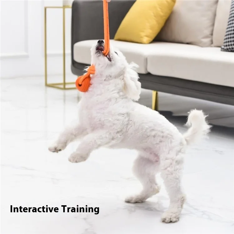 MEIANJU 8cm Pet Bite Resistant TPR Bouncing Ball Dog Interactive Training Toy with Reflective Nylon Rope - Orange