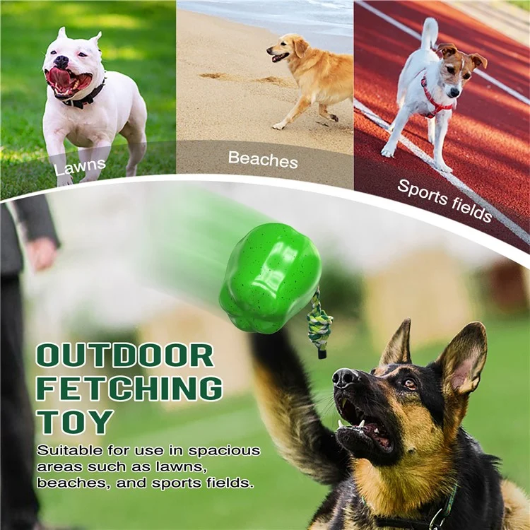 PG-01 TPR Dog Scifleggine da Masticare Giocattolo Per Animali Domestici (BPA Free, CPC / FDA / Rohs Certificato) - Verde