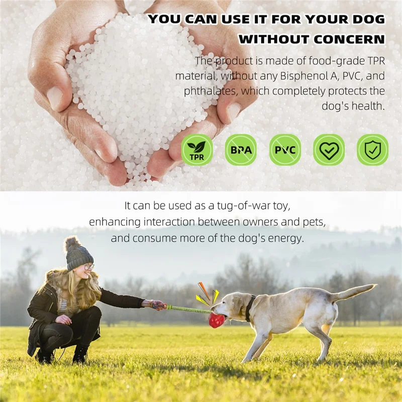 HWPG-01 Dog Fetch Catch Throw Toy Apple Fruit Pet TPR Toy (BPA Free, CPC / FDA / RoHS Certified) - Green