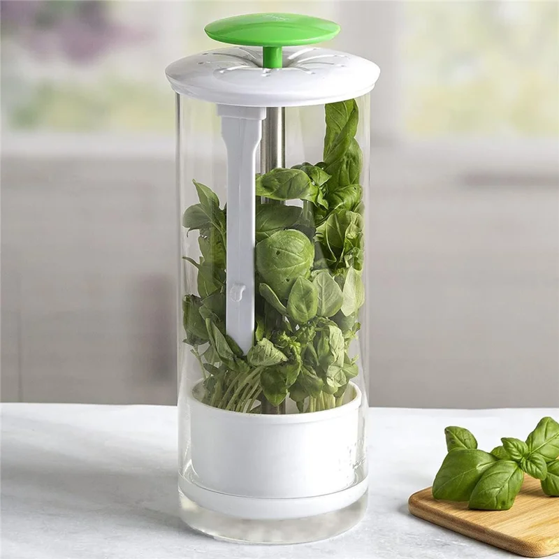 Herb Fresh-Keeping Box Vegetable Herb Coriander ABS+Stainless Steel Storage Box - Green