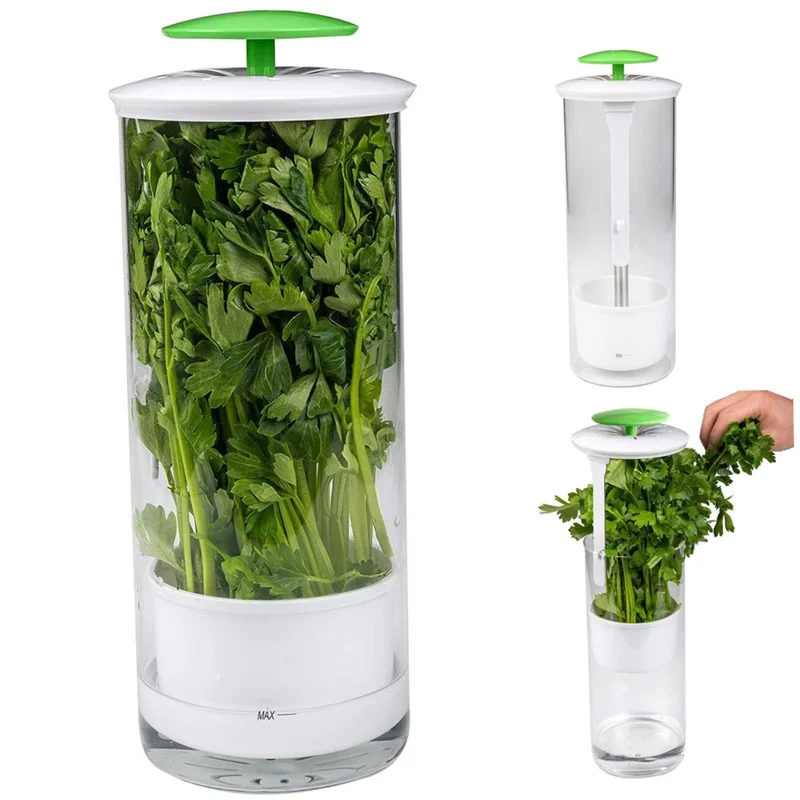Herb Fresh-Keeping Box Vegetable Herb Coriander ABS+Stainless Steel Storage Box - Green