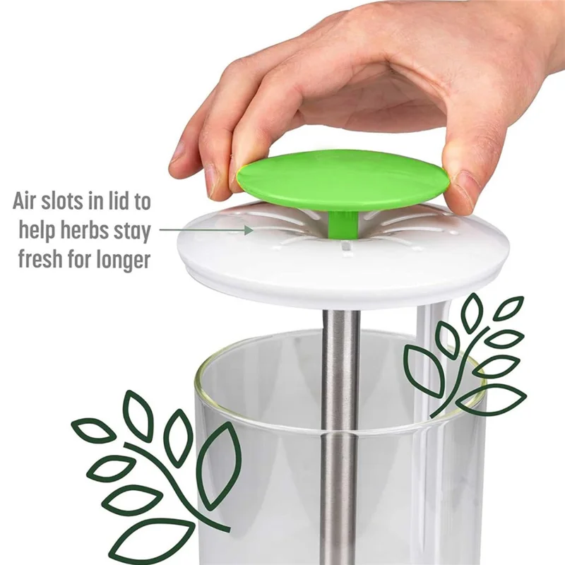 Herb Fresh-Keeping Box Vegetable Herb Coriander ABS+Stainless Steel Storage Box - Green