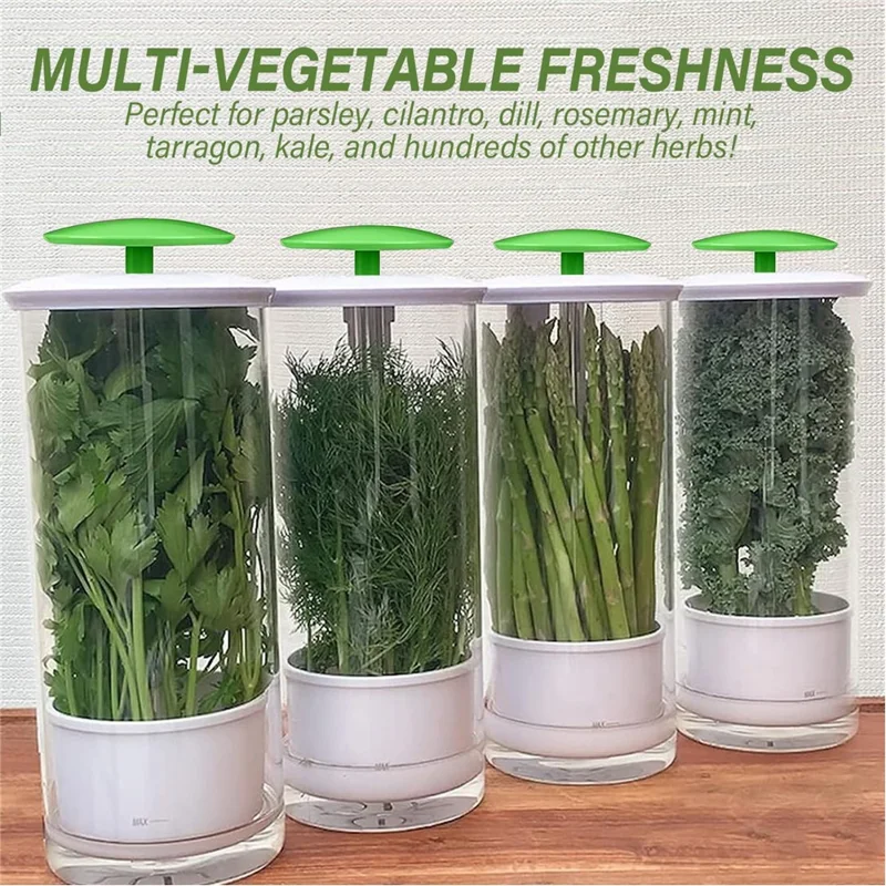 Herb Fresh-Keeping Box Vegetable Herb Coriander ABS+Stainless Steel Storage Box - Green