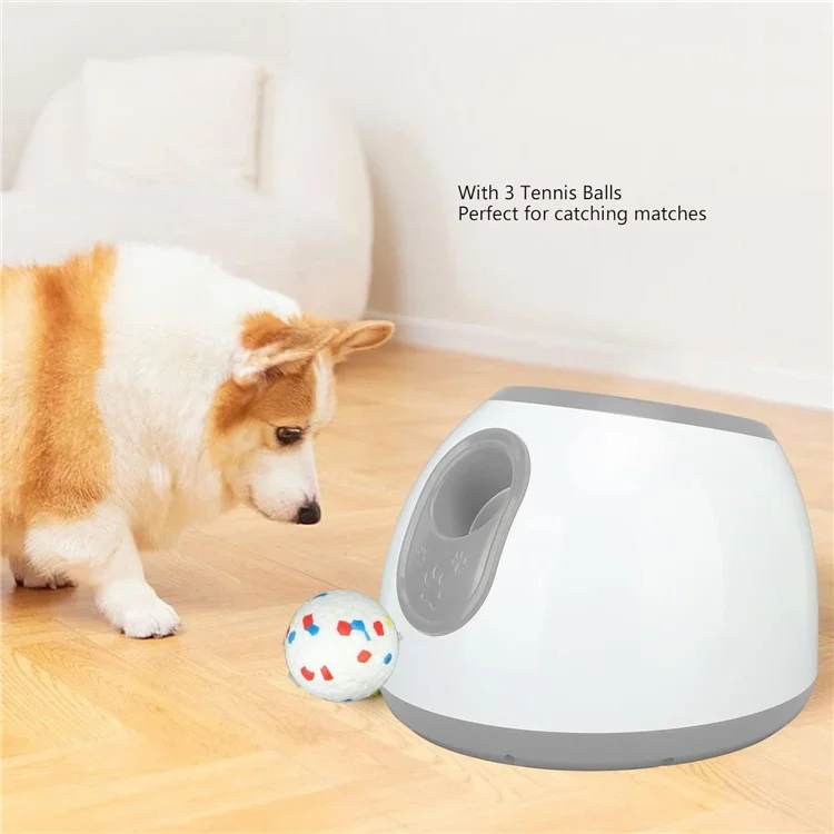 Lanciapalline automatico per cani con 3 impostazioni di distanza regolabili - Spina EU / Grigio