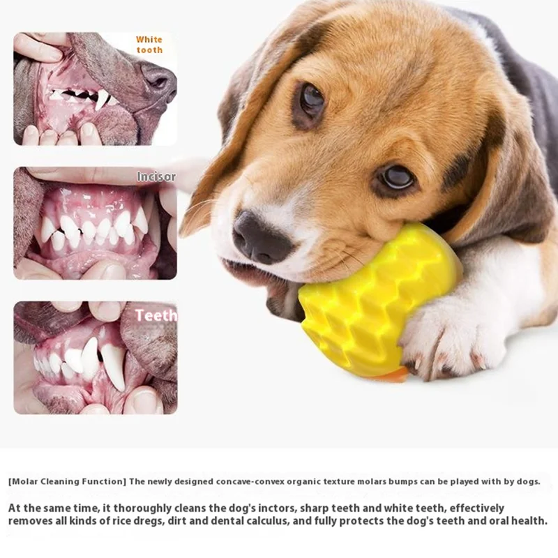 Jouet couinant à mâcher pour chien, balle de dentition pour nettoyage dentaire, balle interactive flottante pour chiot - Bleu lac