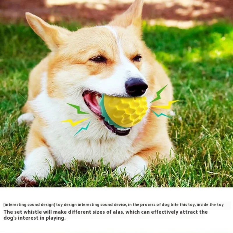 Jouet couinant à mâcher pour chien, balle de dentition pour nettoyage dentaire, balle interactive flottante pour chiot - Bleu lac