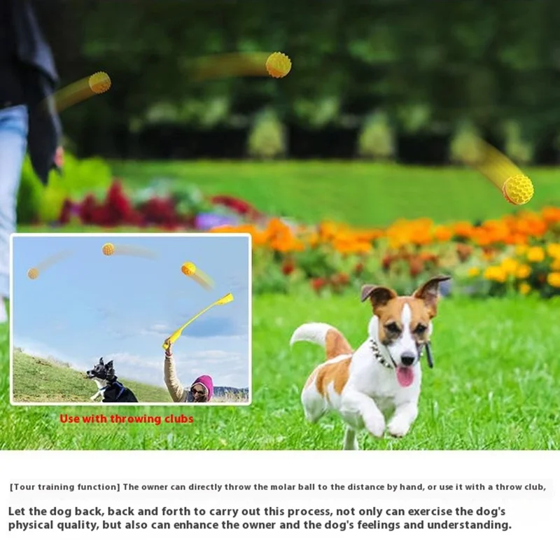 Jouet couinant à mâcher pour chien, balle de dentition pour nettoyage dentaire, balle interactive flottante pour chiot - Bleu lac
