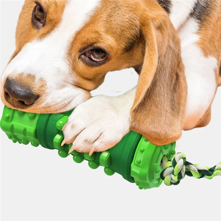 GYL-01 Klang Harte Dauerhafte, Quietschende Interaktive Hundespielzeug Welpen-haustierzähne Kauenstab Spielzeug Für Kleine, Mittelgroße, Große Rasse (mit FDA, Bpa-frei) - Grün