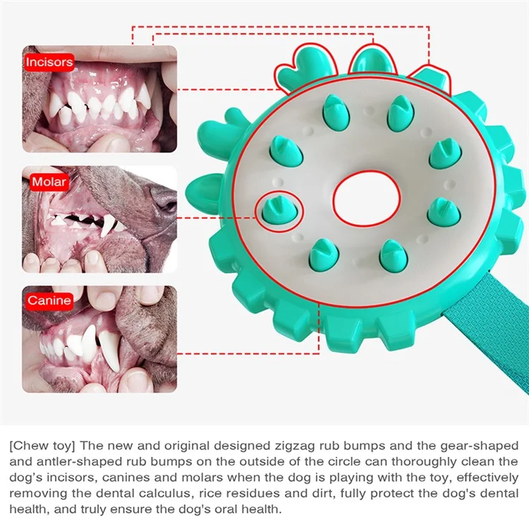 YH-01 Round Ring Shape Pet Dog Teeth Cleaning Chewing Bite Toy Playing Catch Interactive Toy - Lake Blue