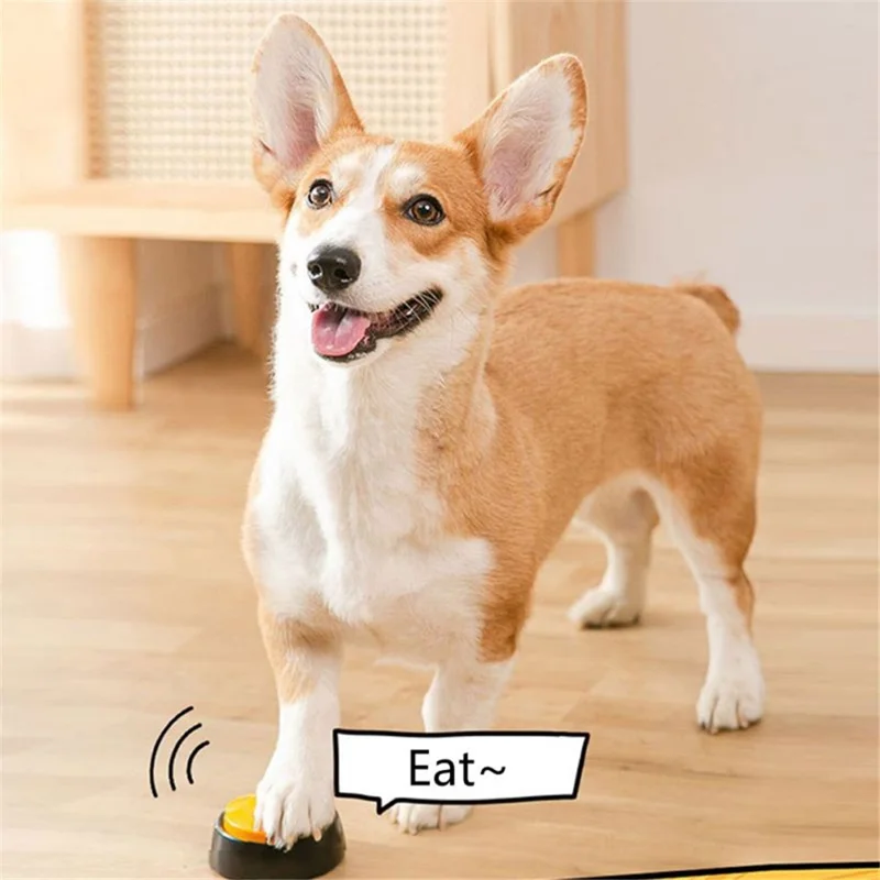 Battery Powered Voice Recording Button for Dog Communication Pet Gift Training Buzzer Device - Orange