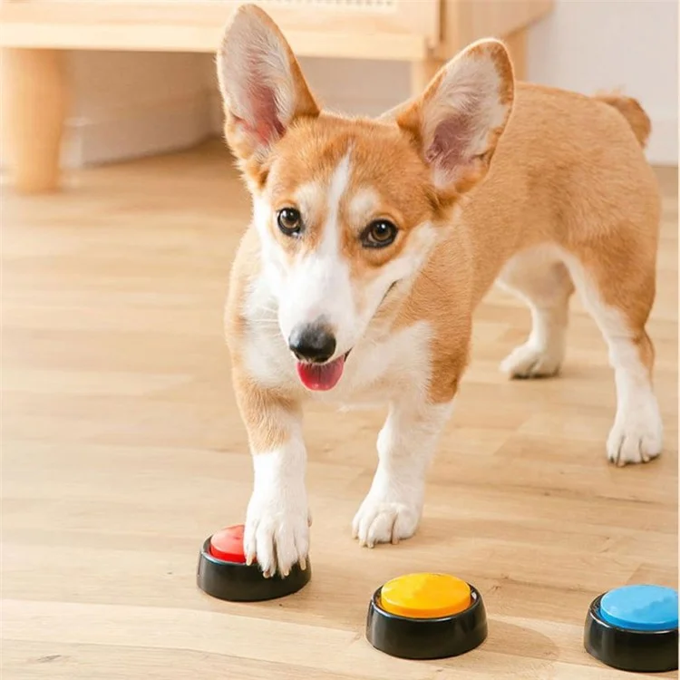 Battery Powered Voice Recording Button for Dog Communication Pet Training Buzzer Device - Purple