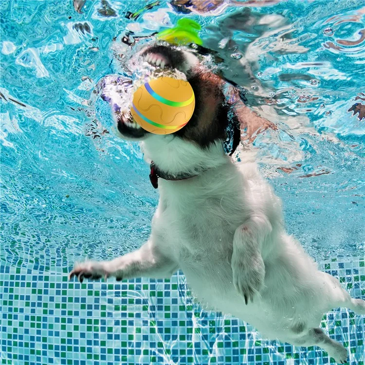Palla a LED ricaricabile USB per animali domestici Bite Resistant Cat Dog Puppy Wicked Ball - Arancione