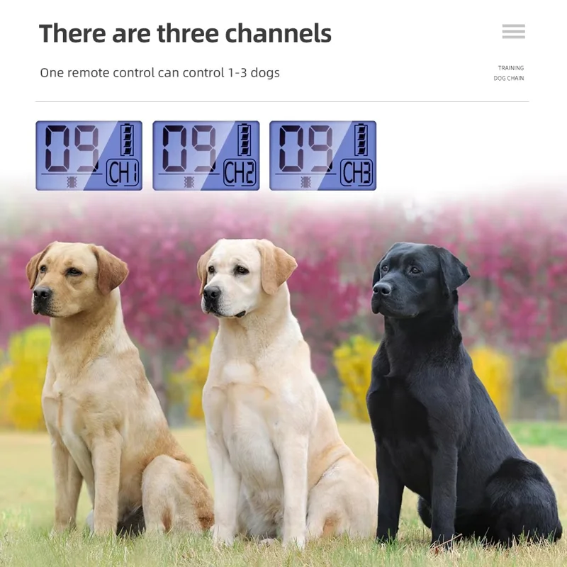 759 Collier d'éducation pour chien à distance 800 m, collier anti-aboiement rechargeable avec choc, vibration et LED