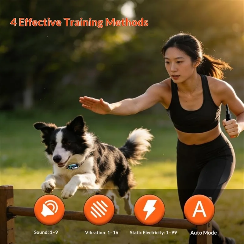 PD 511-1-TIO Remote Dog Training Collar IPX7 Waterproof 1000m Range Rechargeable Color Display Anti-Bark Shock Collar