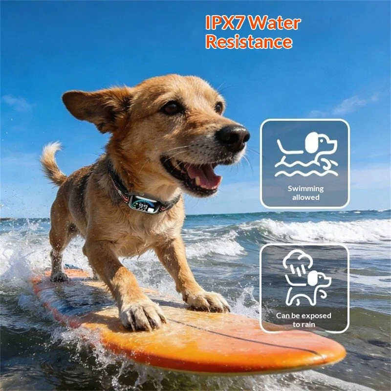 PD 511-1-TIO Remote Dog Training Collar IPX7 Waterproof 1000m Range Rechargeable Color Display Anti-Bark Shock Collar
