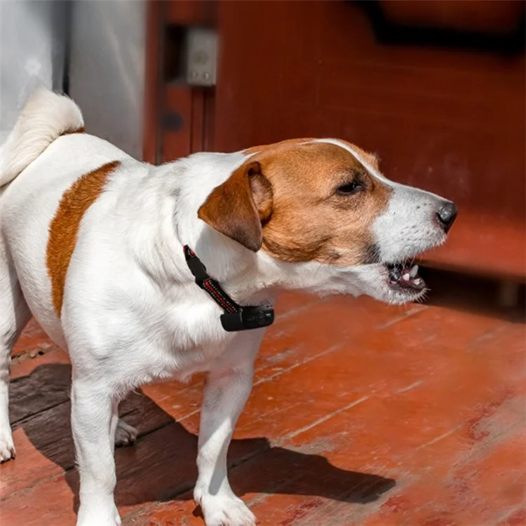 DOBE DB500 1 Remote Control + 2 Collar Electronic Pet Dog Anti-Barking Collar