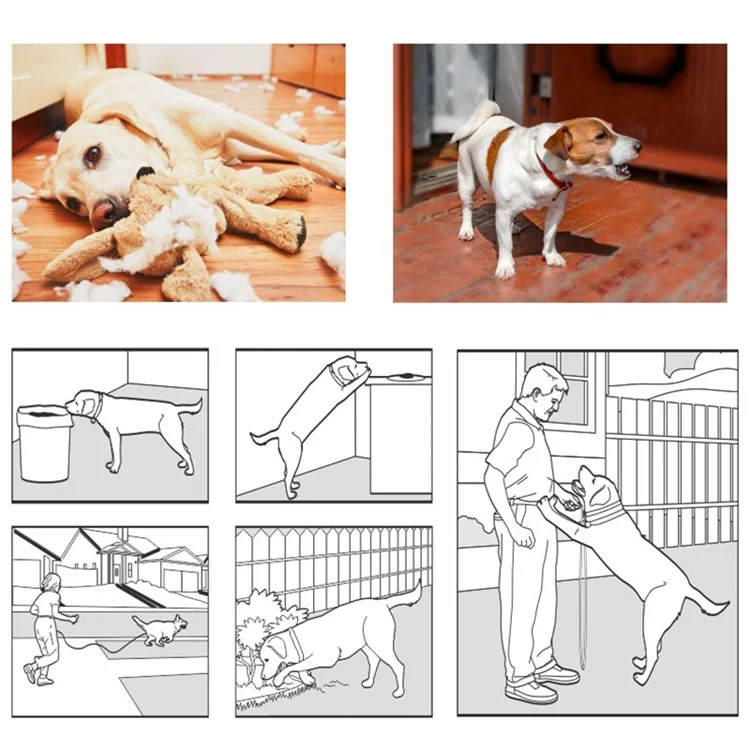 DOBE DB500 1 Remote Control + 2 Collar Electronic Pet Dog Anti-Barking Collar