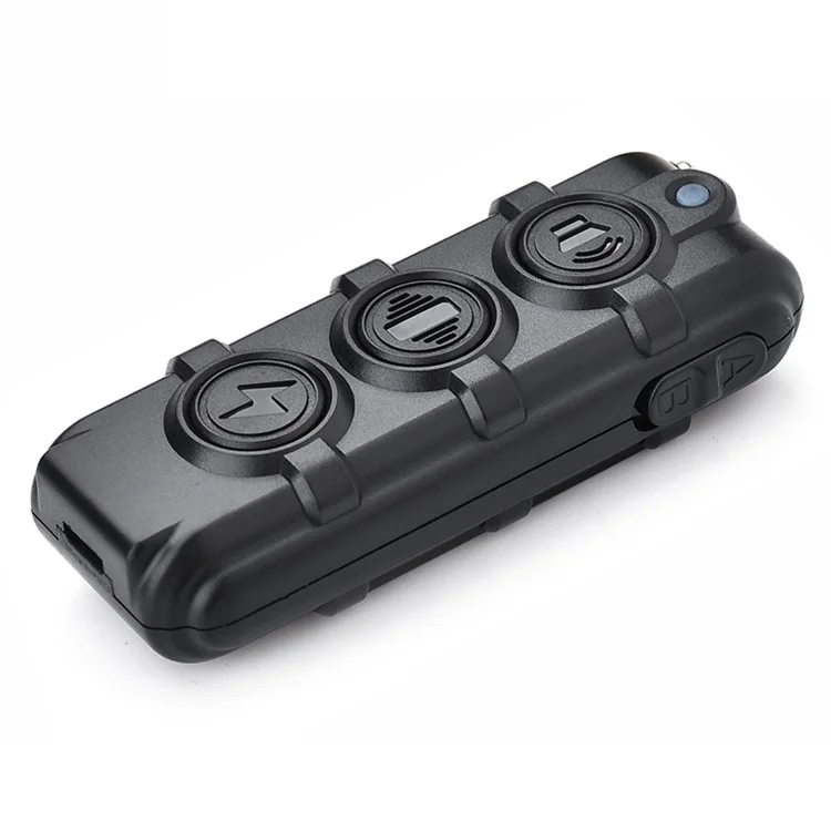 DB61 Remote Control Electronic Vibration Pet Dog Training Collar - Black