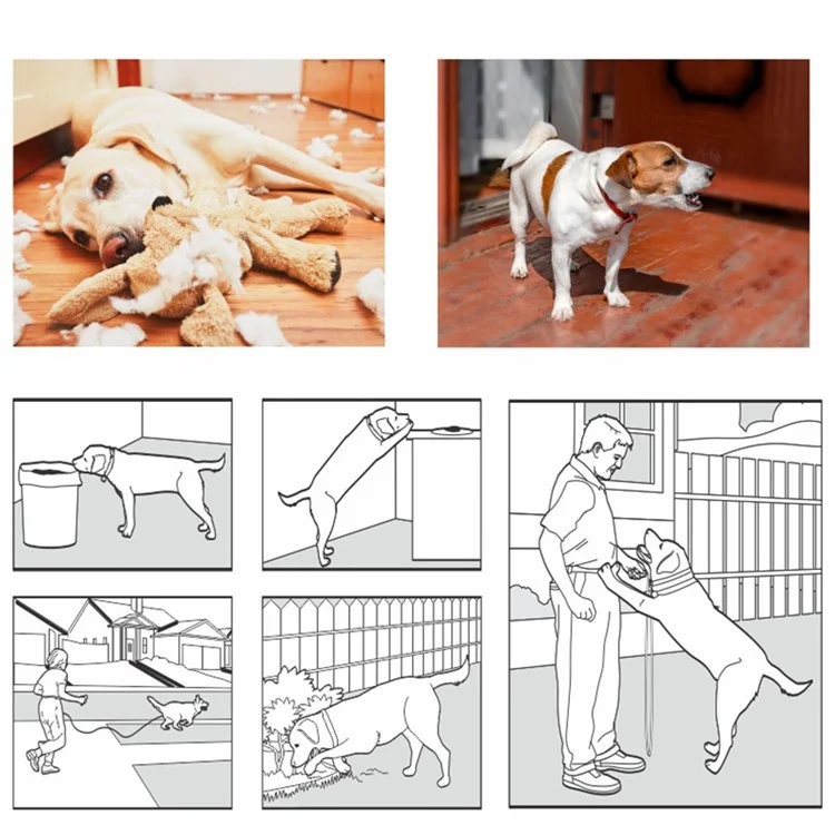 DB600T Vibrating Dog Collar Waterproof Training Tool with Remote Control - White