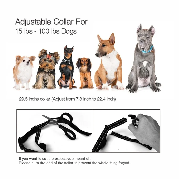 DB600T 2 colliers de dressage de chien vibrants LCD + 1 télécommande - Blanc