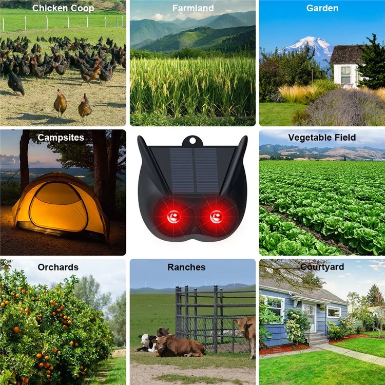 Lampes d'effarouchement à LED rouges clignotantes alimentées par l'énergie solaire, 2 pièces, pour oiseaux et animaux