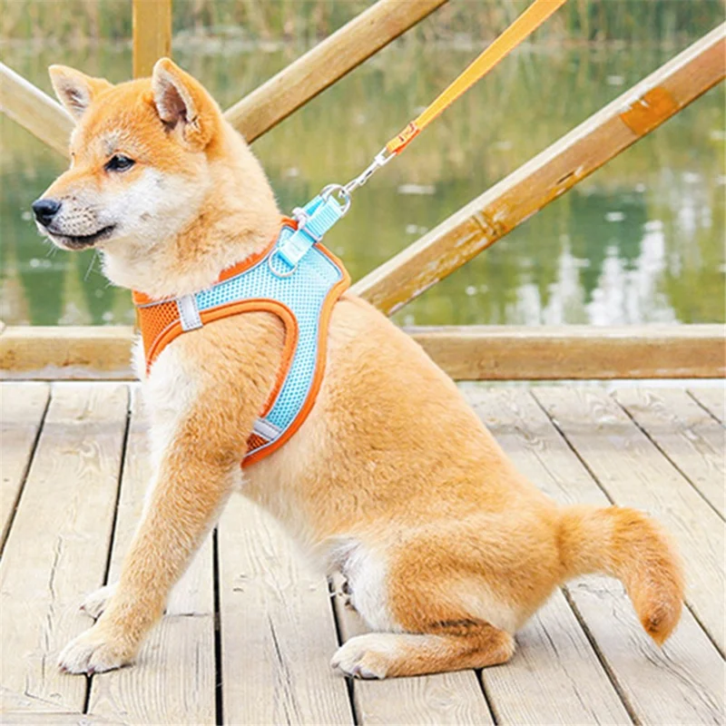 Reflective Cat Dog Vest Gift for Outdoor Walking Breathable Mesh Pet Harness with Leash, Size L - Blue+Pink