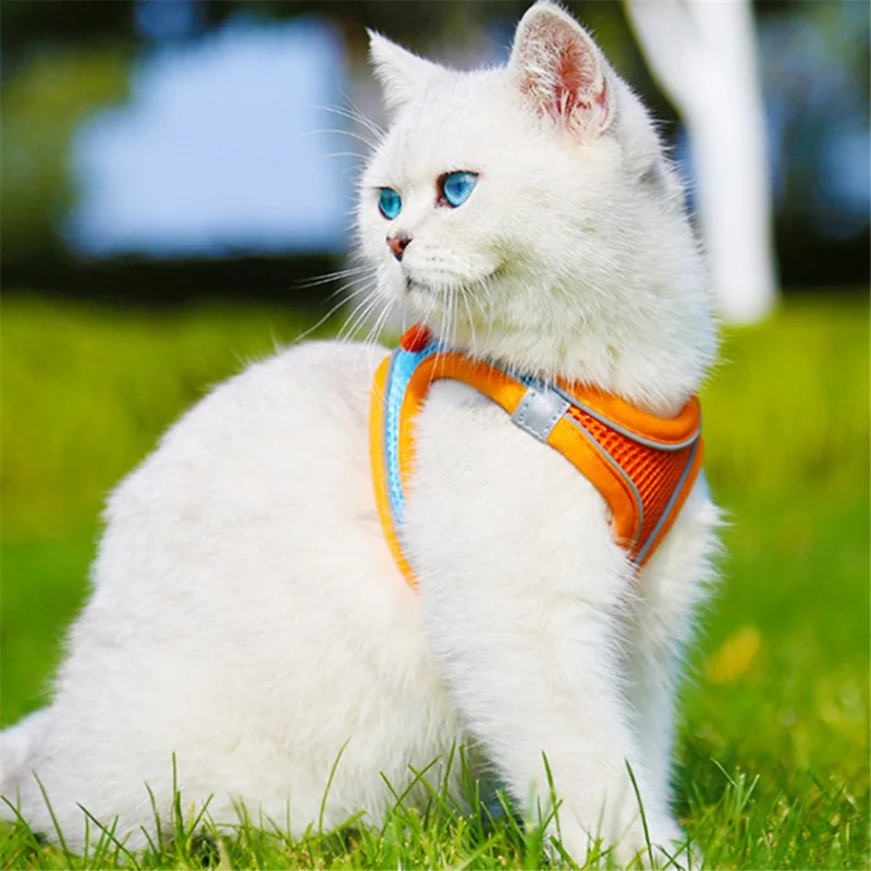 Reflective Cat Dog Vest Gift for Outdoor Walking Breathable Mesh Pet Harness with Leash, Size L - Blue+Pink