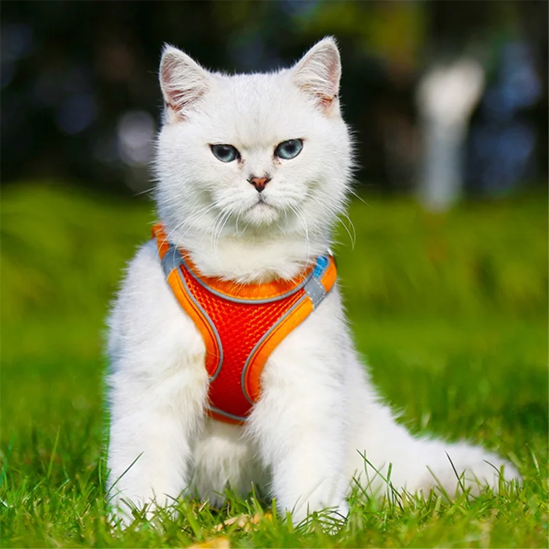 Reflective Cat Dog Vest Gift for Outdoor Walking Breathable Mesh Pet Harness with Leash, Size L - Blue+Pink