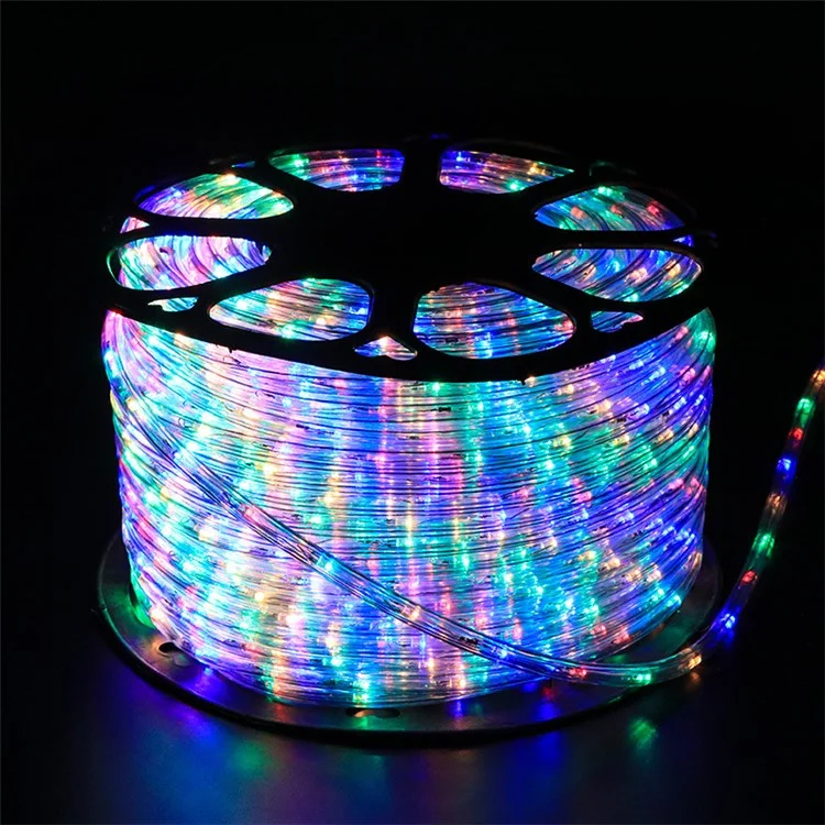 100m IP68 Waterproof 8 Modes 220V PVC LED Strip Light Outdoor Decor, Constant Light EU Plug - Multi-color