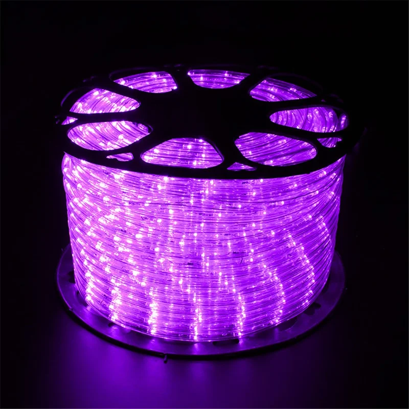 100m IP68 Waterproof 8 Modes 220V PVC LED Strip Light Outdoor Decor, Constant Light EU Plug - Purple