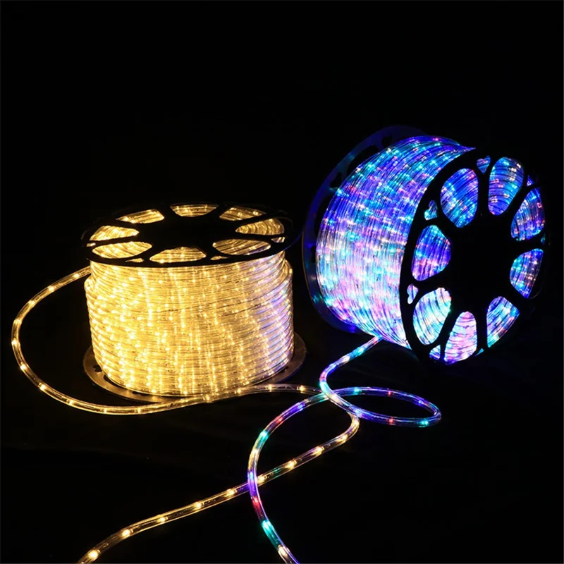 100m IP68 Waterproof 8 Modes 220V PVC LED Strip Light Outdoor Decor, Constant Light EU Plug - Purple