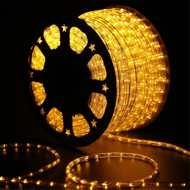 100m IP68 Waterproof 220V Flexible PVC LED Strip Light Outdoor Decor, 8 Modes EU Plug - Red