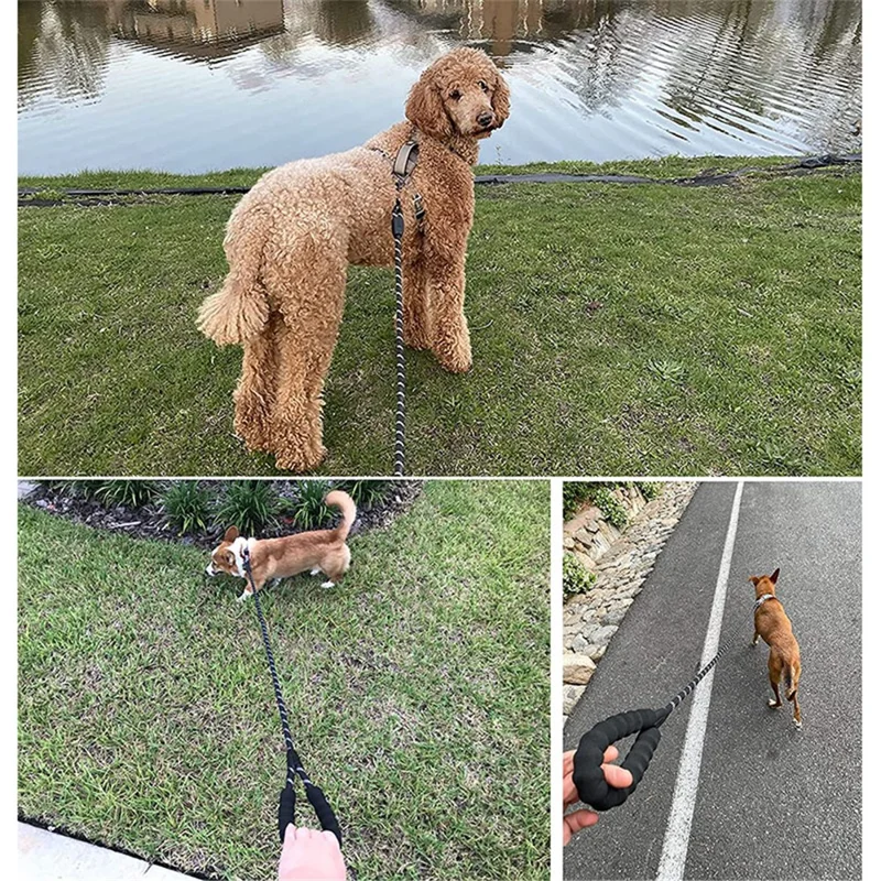 006# Dog Leash Long Lead Training Tracking Line Comfortable Handle Heavy Duty Puppy Rope - Red