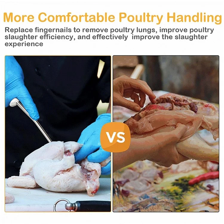 Stainless Steel Poultry Lung Remover Turkey Chicken Gutting Tool (No FDA Certified, BPA-Free)