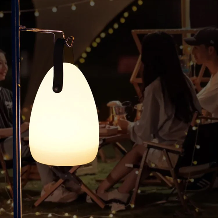 Veilleuse Rechargeable avec Télécommande 16 Couleurs 6 Niveaux de Luminosité Lampe de Chevet en Forme d'Œuf pour Maison, Bar