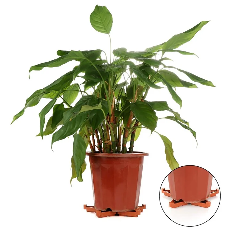 12 pièces de support de pot de fleurs de jardinage en PP avec ventilation - Orange L