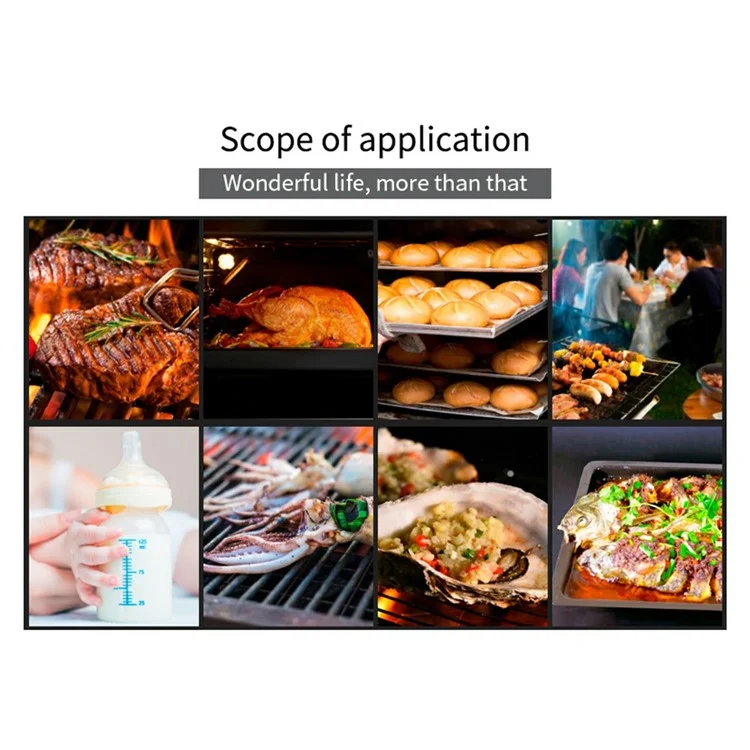 Thermomètre double sonde BBQ TS-6601-2 pour cuisine, barbecue, température de la viande