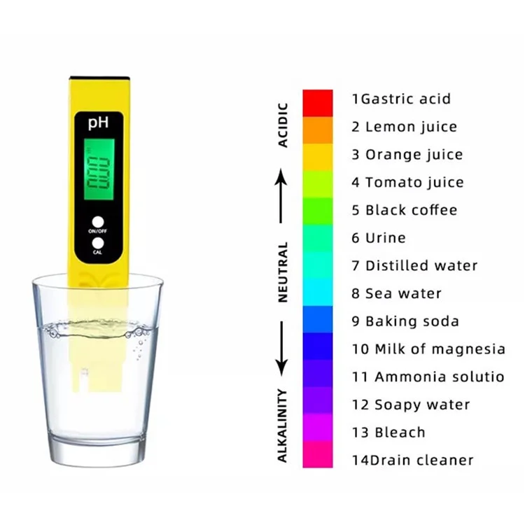 PH-04L Misuratore di PH Digitale con Calibrazione Automatica per Test della Qualità dell'Acqua, Monitor per Acquari e Piscine