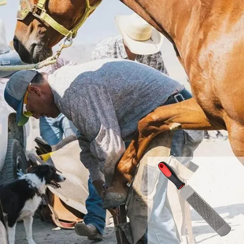 Raspador de Ferradura de 8 Polegadas com Cabo de Aço Carbono, Face Dupla com Dentes Grossos e Finos para Aparar Cascos de Gado