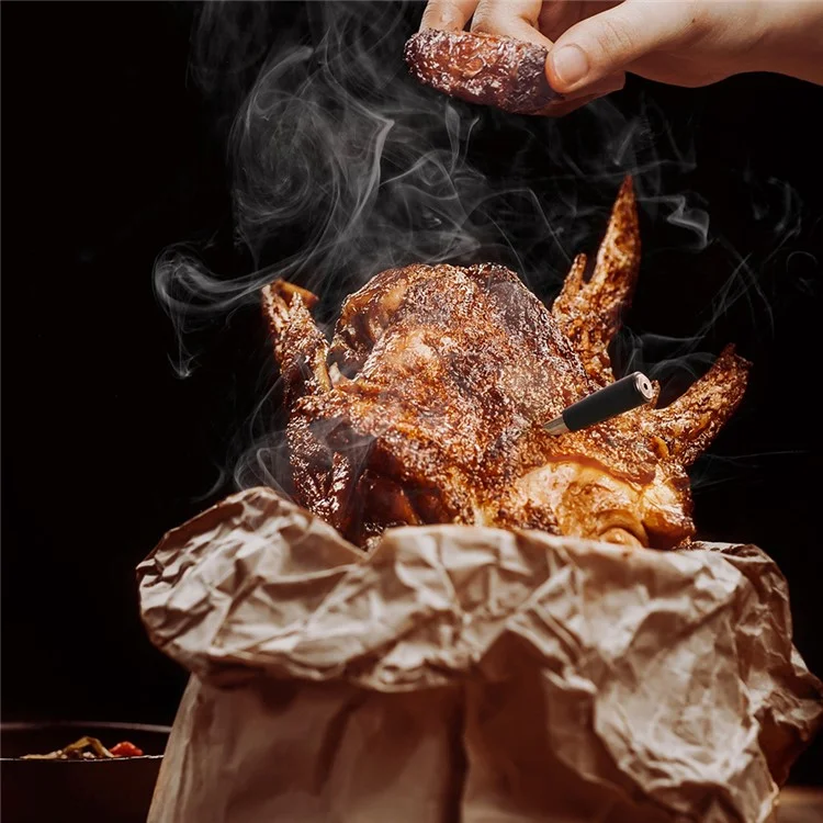 Applicazione per telefono Ripetitore di monitoraggio Barbecue Termometro Forno Misuratore di temperatura degli alimenti (senza BPA, senza FDA)