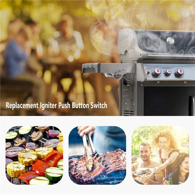 Interruttore Accensione Pulsante per Griglie a Gas Weber Spirit E-330 / E-320 / E-315 / E-310 / E-210, 70189 / 7642 / 7643