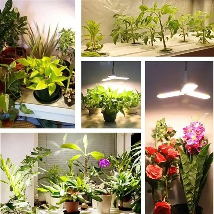 Luz Crescente LED de 40W Espectro Completo Lâmpadas de Crescimento de Plantas com 3 Lâminas Dobráveis