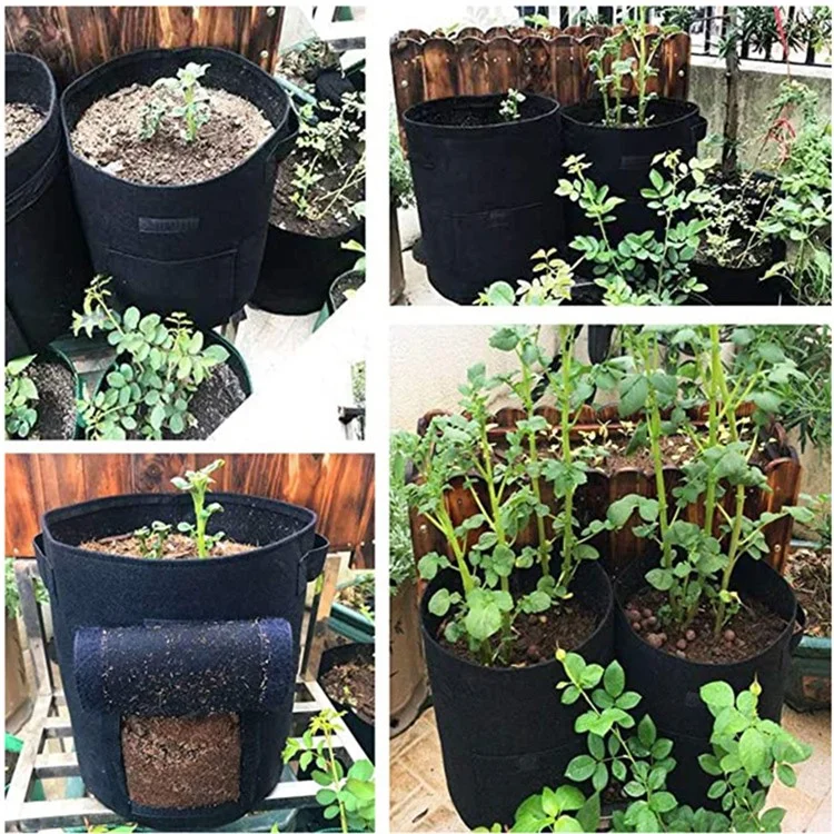 Saco de Mudas de Vegetais de 10 Galões de Tecido Não Tecido - Cinza