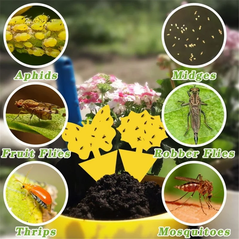 20Pcs For Indoor / Outdoor Plants Double Sided Insect Trap Sticky Board Fruit Fly Catcher - Butterfly