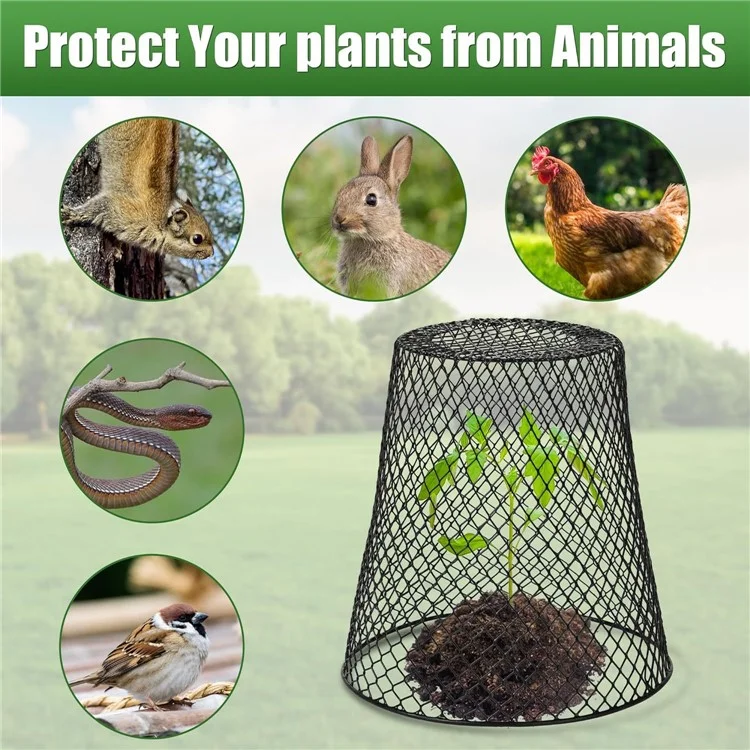 Protecteur de Pot de Jardin 5Pcs Cage Grillagée Métallique pour Semis Protection de Croissance des Plantes - Noir