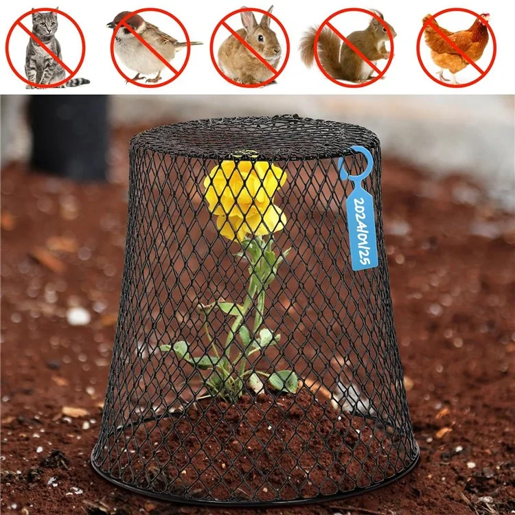 Protecteur de Pot de Jardin 5Pcs Cage Grillagée Métallique pour Semis Protection de Croissance des Plantes - Noir