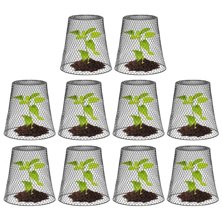 Protecteur de Pot de Jardin 10Pcs Cloche en Fil Métallique Outil de Culture de Semis pour la Croissance des Plantes - Noir