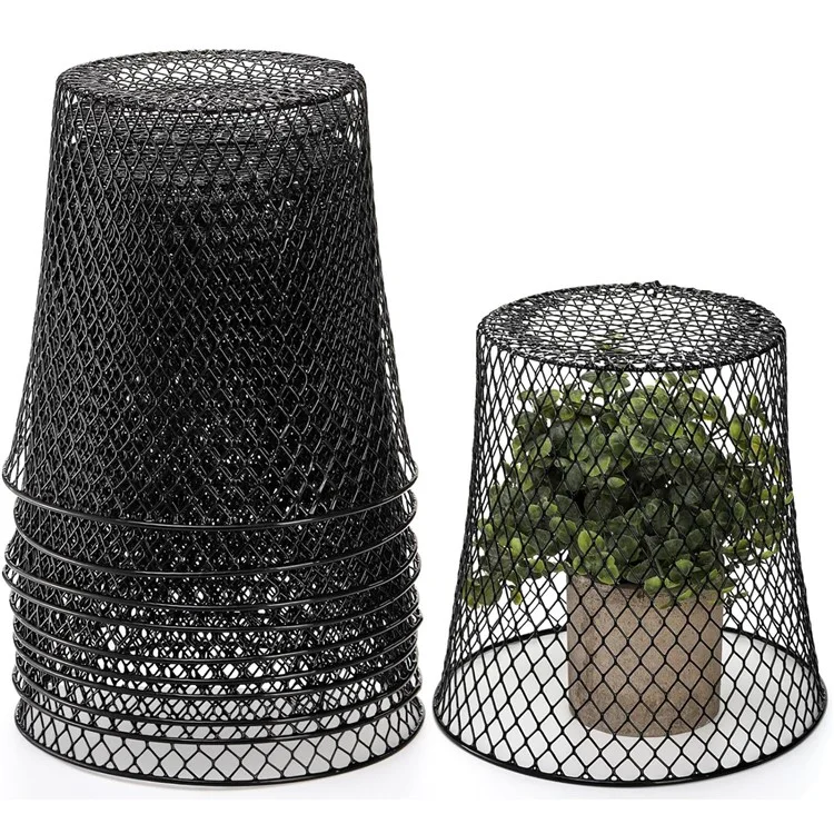 Protecteur de Pot de Jardin 10Pcs Cloche en Fil Métallique Outil de Culture de Semis pour la Croissance des Plantes - Noir